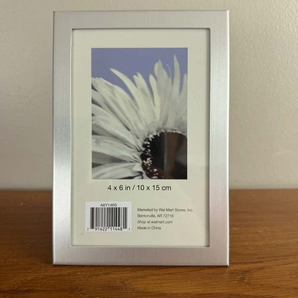 Mainstays Brushed Silver 4x6 Picture Frame Glass Tabletop Photo Frame